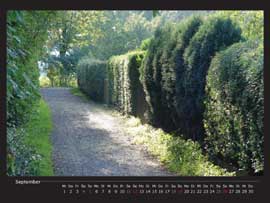 im Wege