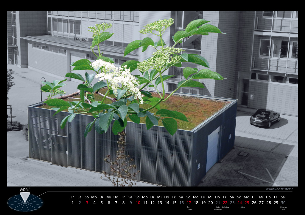 Blühende Tristesse Blühende Tristesse