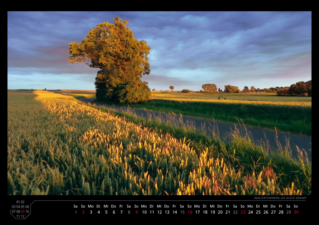 Realitätsgewinn, da Glück gehabt | Lucky reality growth Realitätsgewinn, da Glück gehabt | Lucky reality growth
